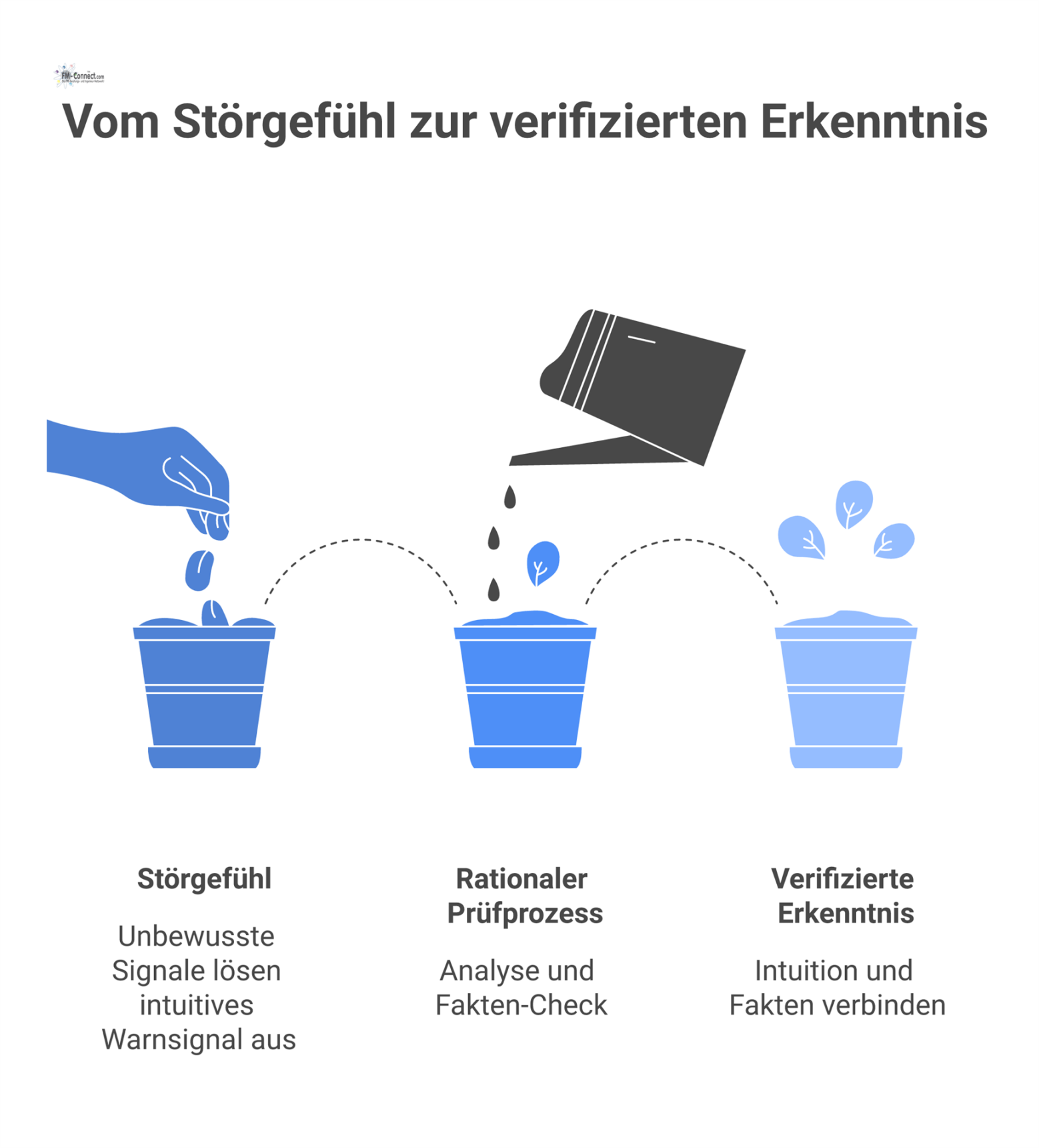 Flussdiagramm, das den Prozess eines Störgefühls visualisiert: von unbewussten Signalen über die rationale Prüfung zur verifizierten Erkenntnis. 