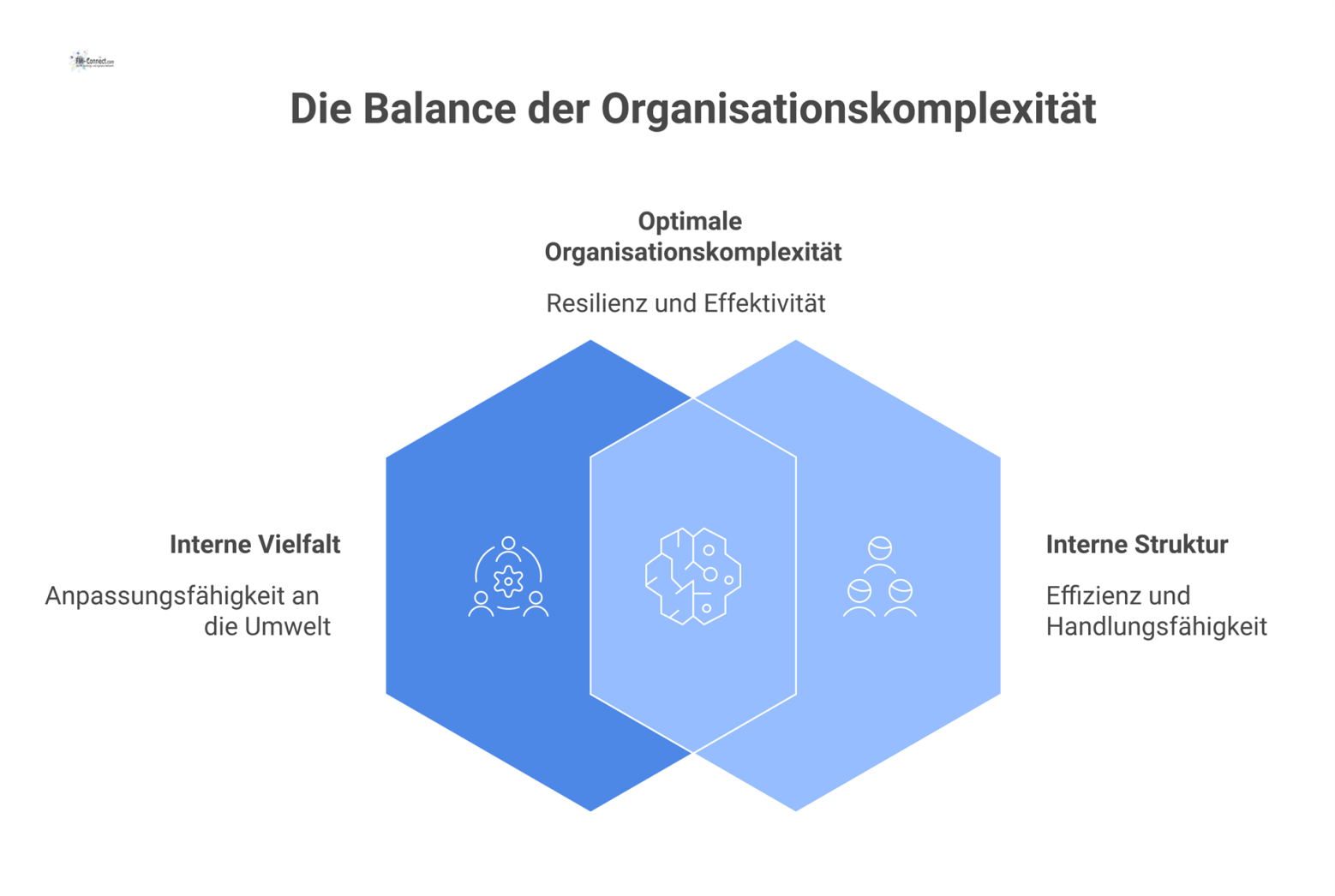 Diagramm, das den Balanceakt der Organisationskomplexität darstellt: die Notwendigkeit, interne Vielfalt zu erhöhen und gleichzeitig interne Komplexität zu reduzieren. 