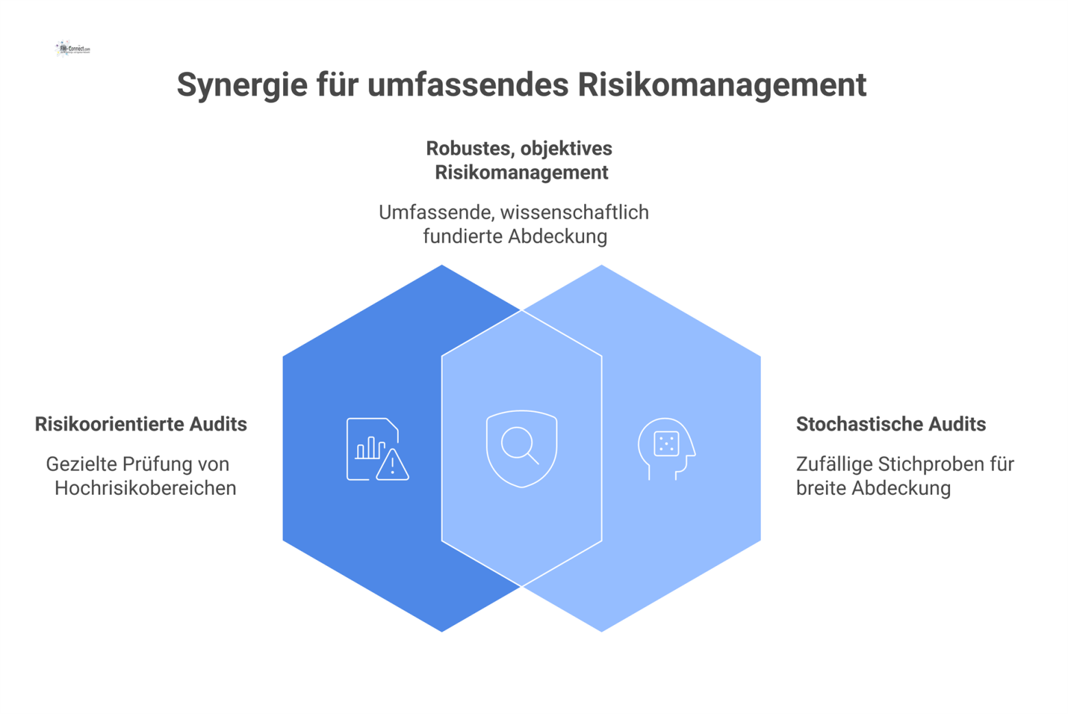 Diagramm eines hybriden Audit-Konzepts, das risikoorientierte und stochastische Audits für das Risikomanagement von Fremdfirmen kombiniert. 
