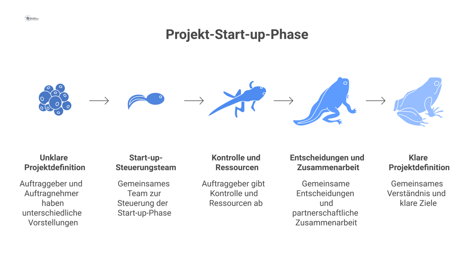 Diagramm der Start-up-Phase mit Auftraggeber und Auftragnehmer, verbunden durch ein Steuerungsteam zum Austausch von Kontrolle, Ressourcen und Entscheidungen.